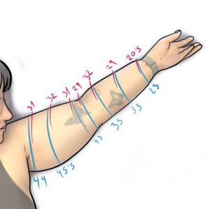 brazo izquierdo medidas comparativas